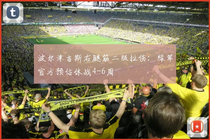 波尔津吉斯右腿筋二级拉伤：绿军官方预估休战4-6周