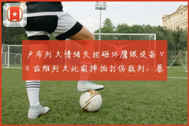 卢布列夫情绪失控砸坏鹰眼设备 vs 兹维列夫此前摔拍打伤裁判，暴力行为处罚标准历史对比